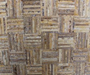 ALBIZZIA YELLOW