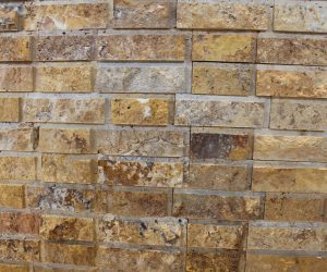 ARTEMISIA YELLOW