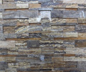 BETULA MYSTIC