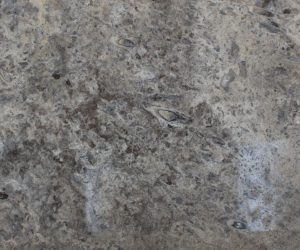 SILVER TRV 40 X 80