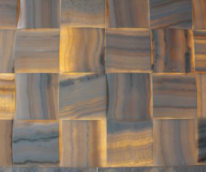 TILIA ONYX
